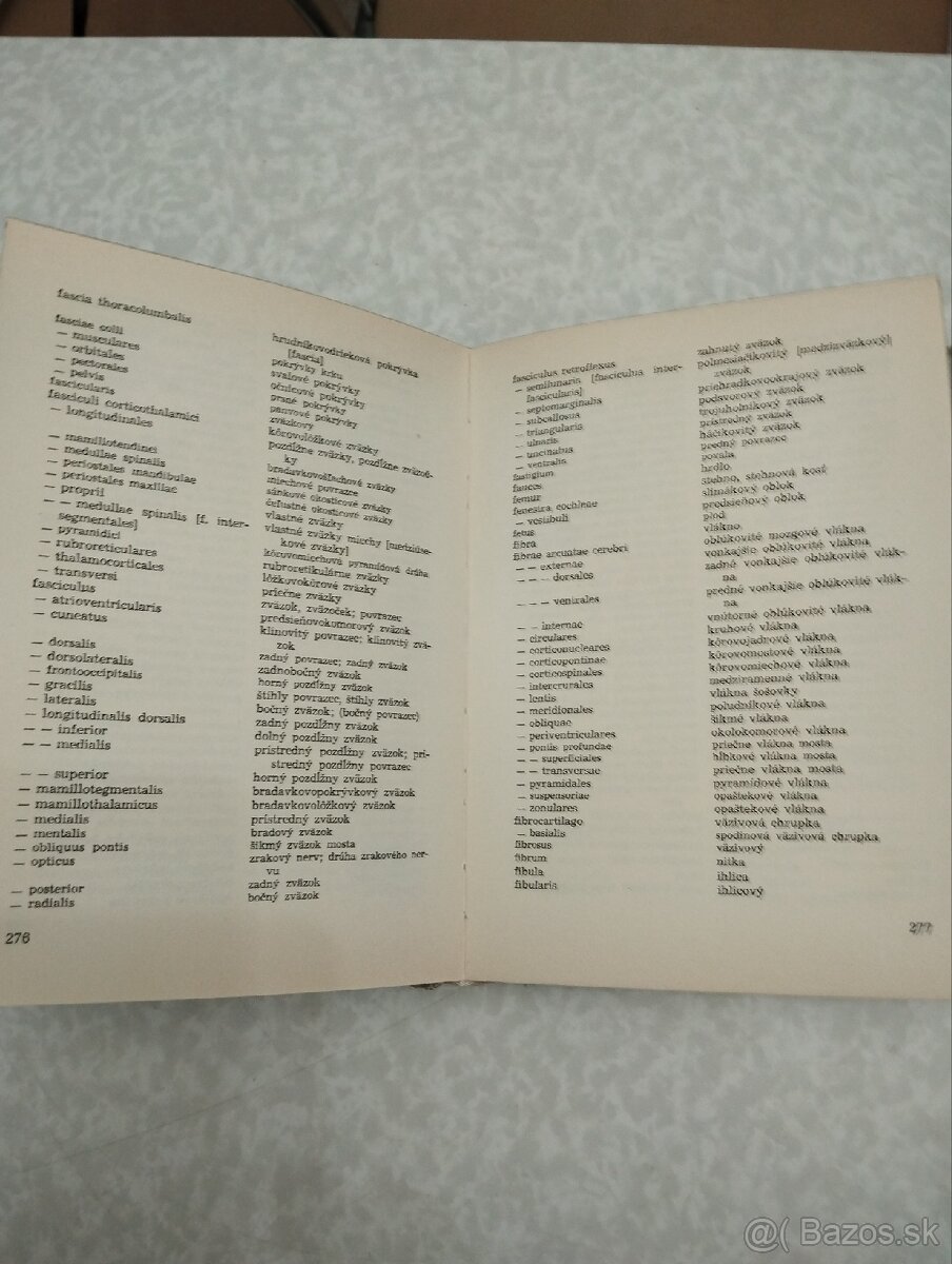 Anatomické názvoslovie - 5