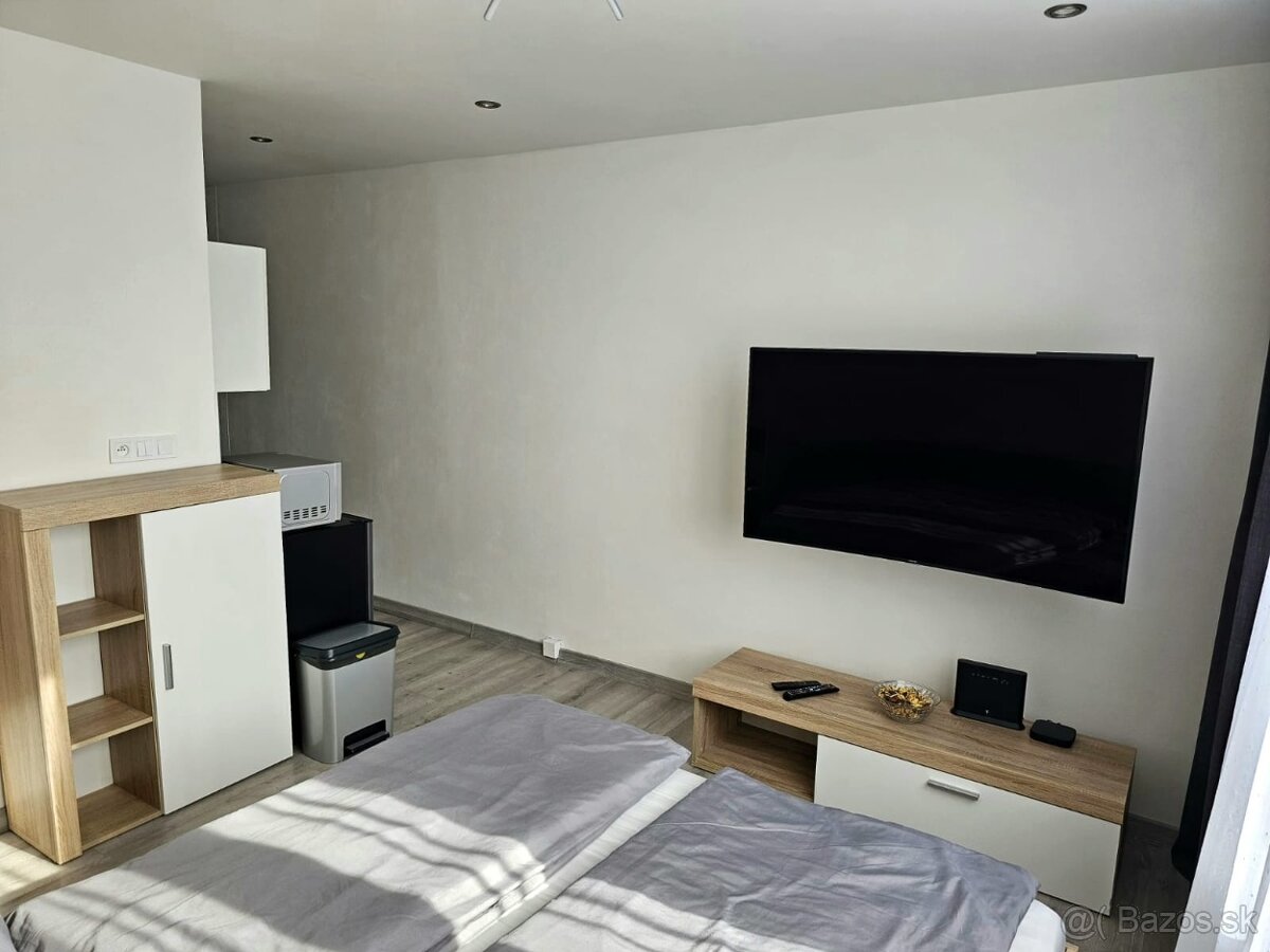 Prenájom 1 izbový byt - 5