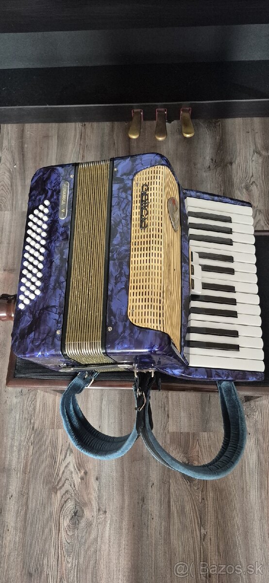 Harmonika delicia 48 basov - 5