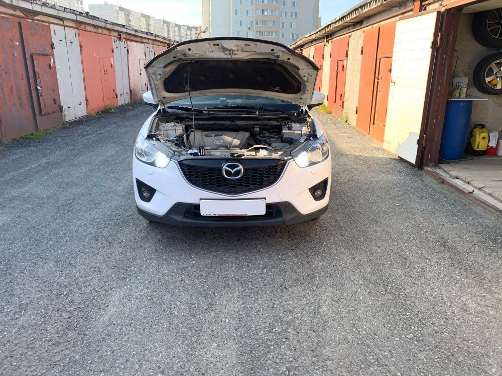 P13W LED autožiarovky - 5