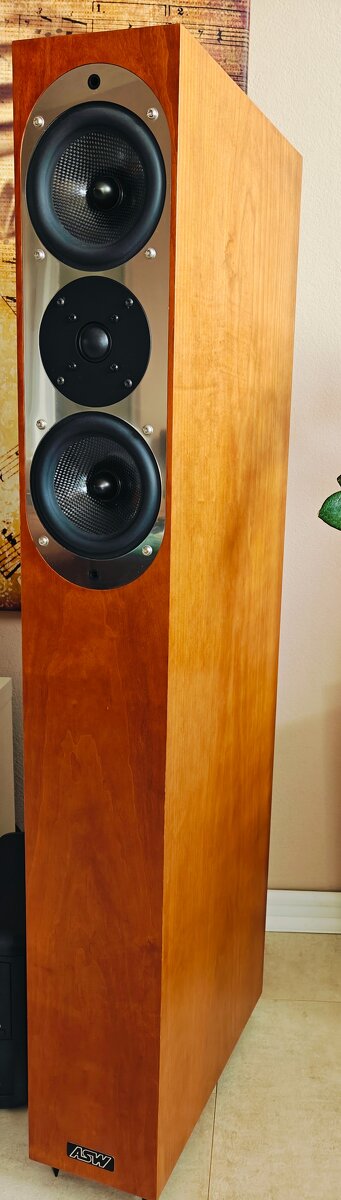ASW genius reference 300 - 5