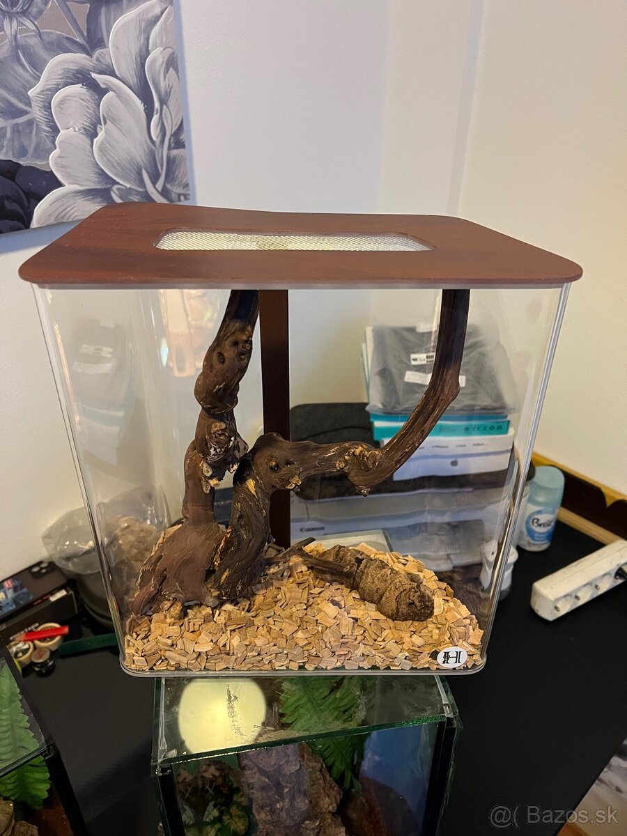 Dizajnové terárium, insektárium - 5
