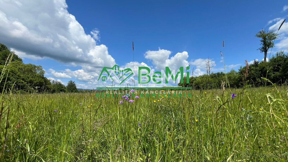 Pozemok 2836 m2, Sása, pod rybníkom, okres Zvolen - 5