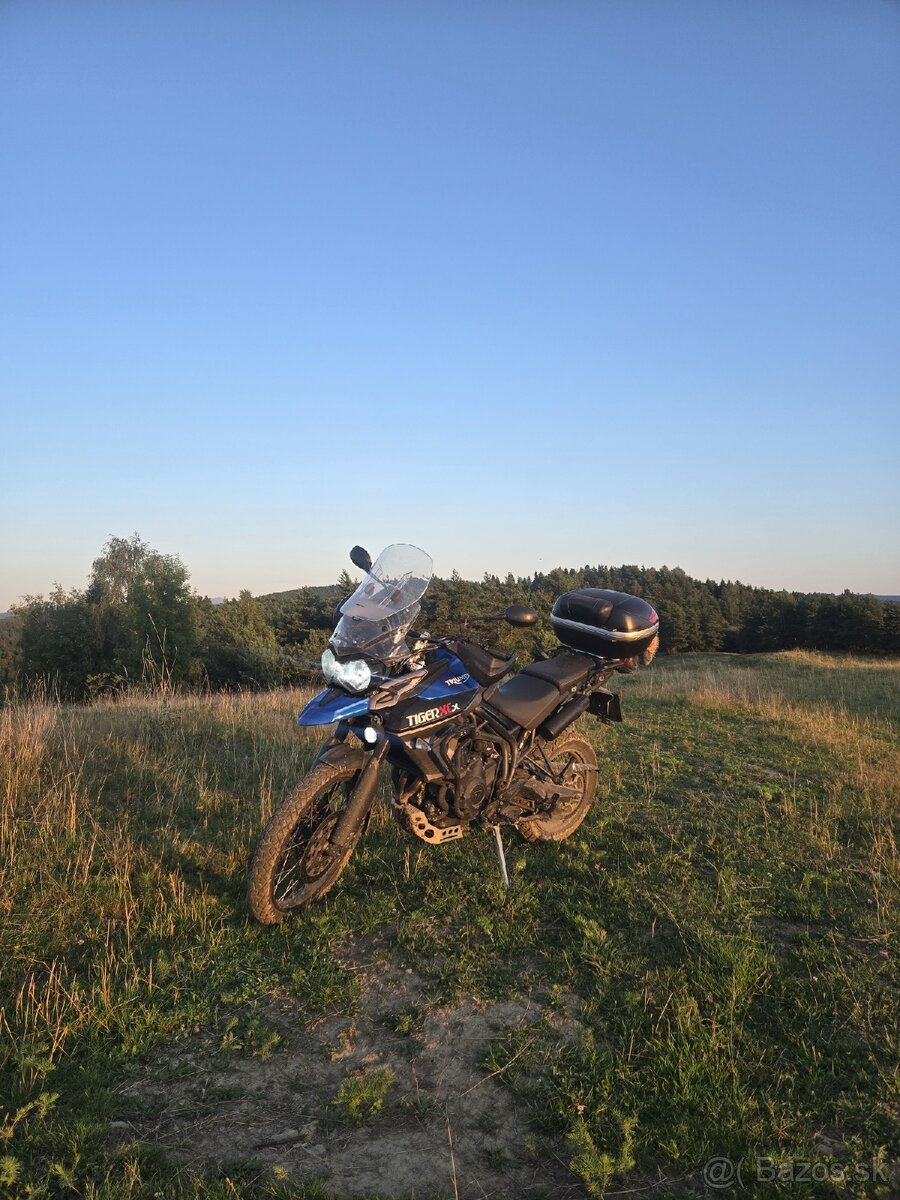 Triumph Tiger 800 XCx 2015 - 5