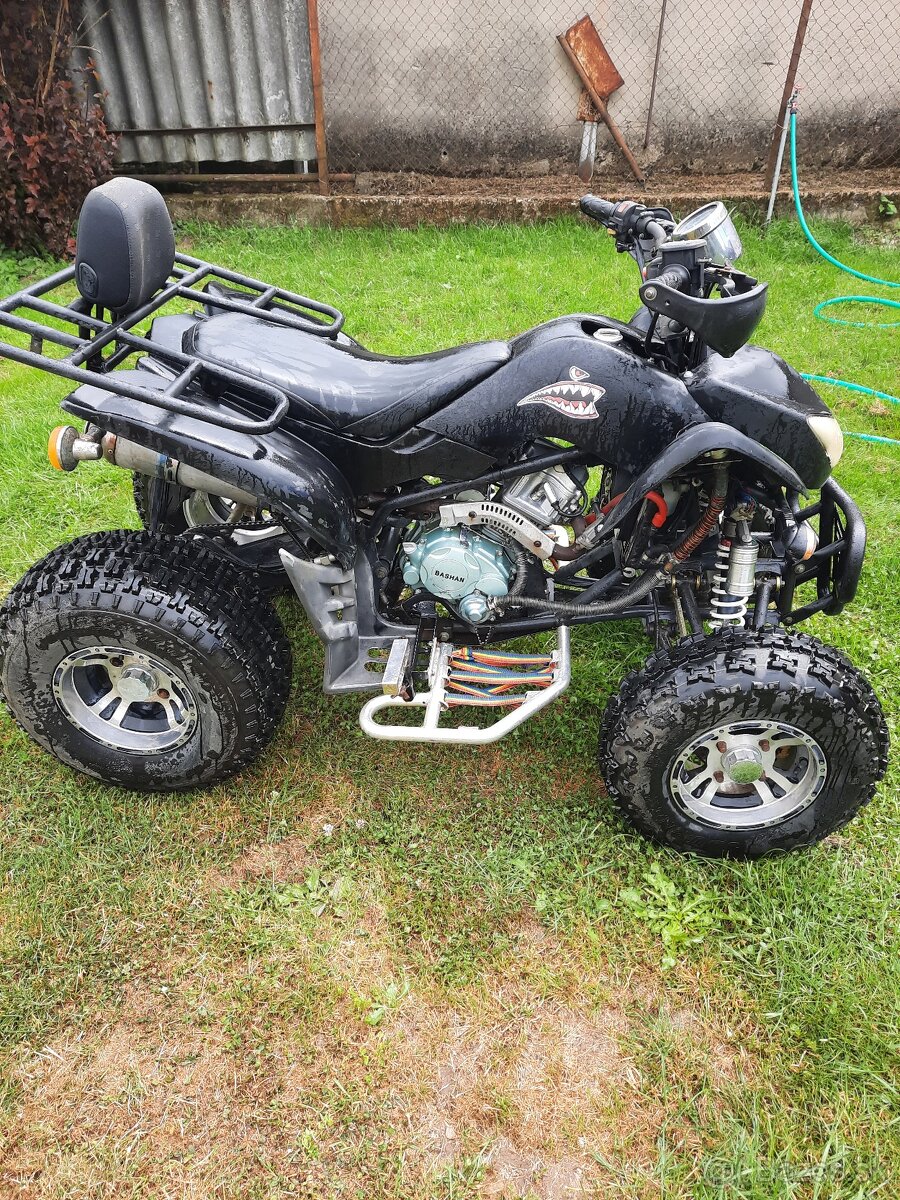 Eagle lyda 203 Tp spz