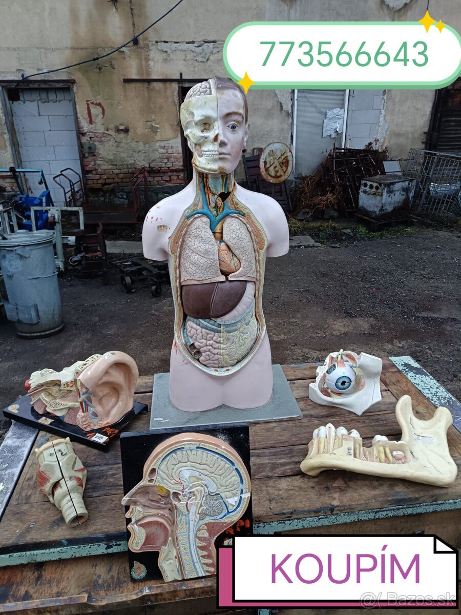 Staré školské pomôcky kúpim - 5