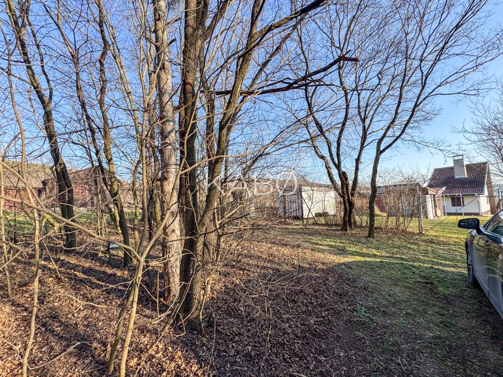Krásna vinica pri Nitre - 895 m2 - 5