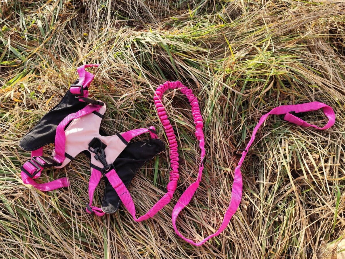 🛡️ Originálne handmade postroje a vodítka pre psov 🐾 - 5