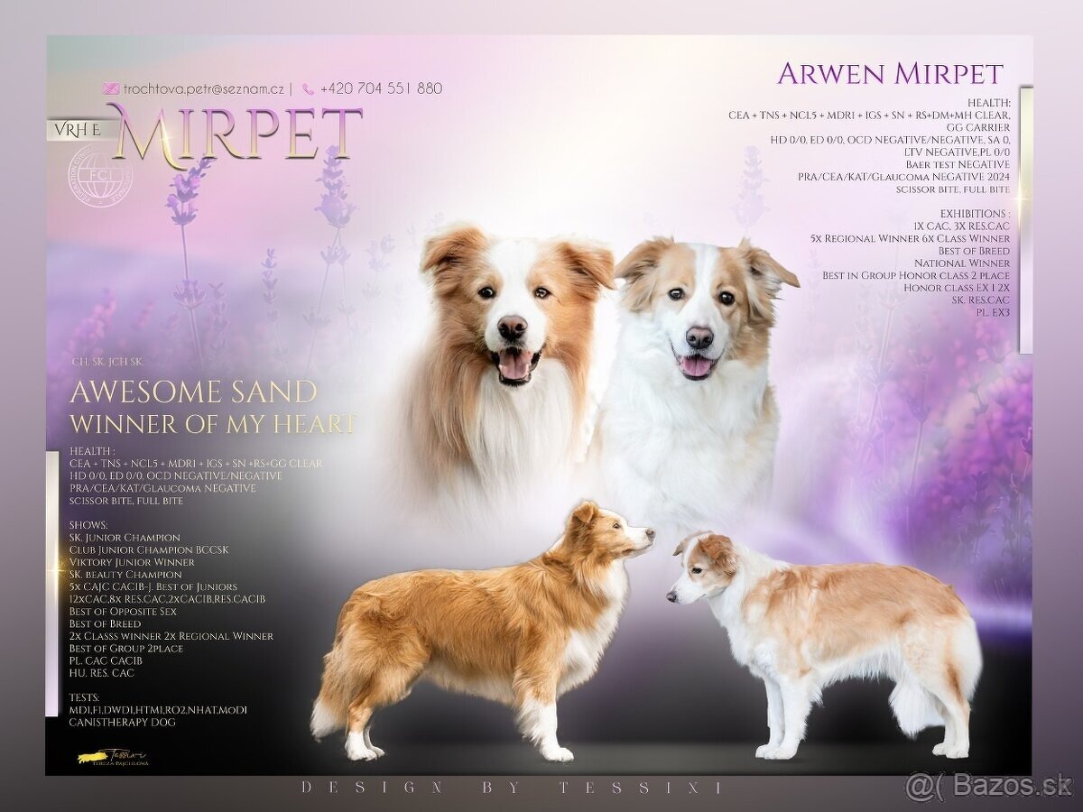 Border kólia, Borderka - 5