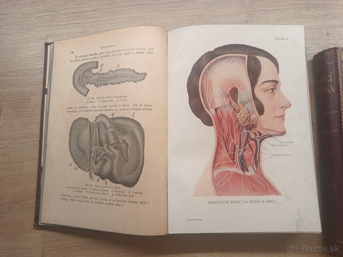Jenny Springerová: Domáci lekárka I.,II., 1925 + rozkladacie - 5