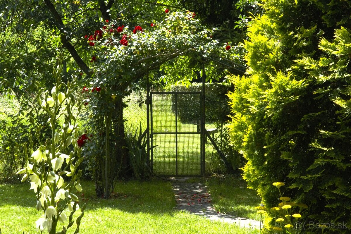 8 árový pozemok s chatou. - 5