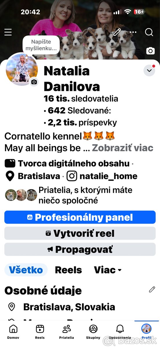 Welsh corgi cardigan. - 5