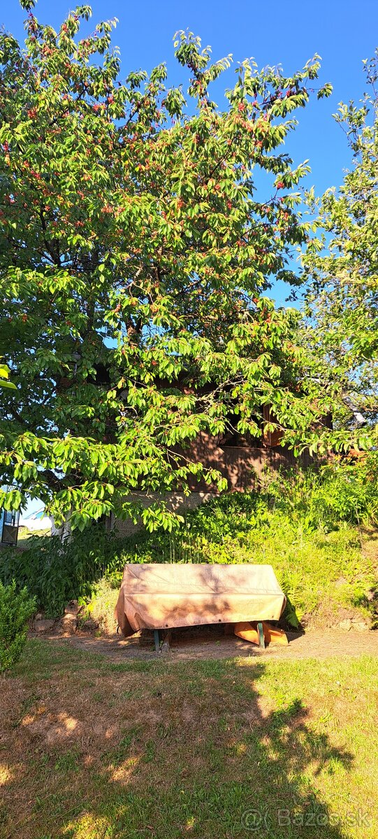 Chata so záhradou na prenájom - 5