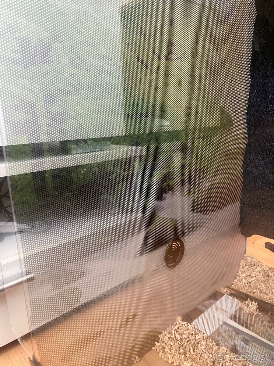 Terarium 60x70x50 - 5