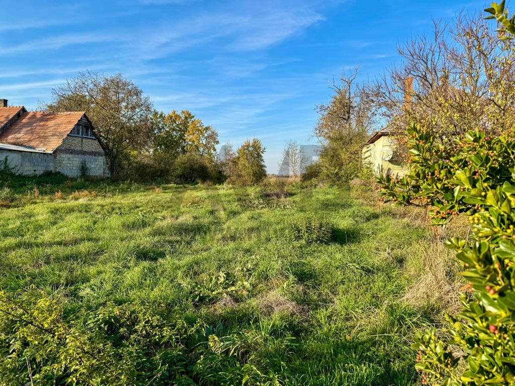 13 ÁROVÝ POZEMOK PRI KOMÁRNE S VÝHĽADOM NA JAZIERKO - 5
