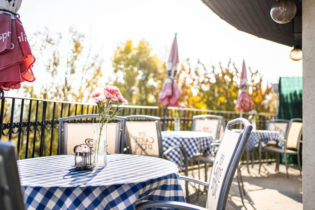 TOREA - PRENÁJOM OBJEKTU REŠTAURÁCIE - VINOSADY, OKRES PEZIN - 5