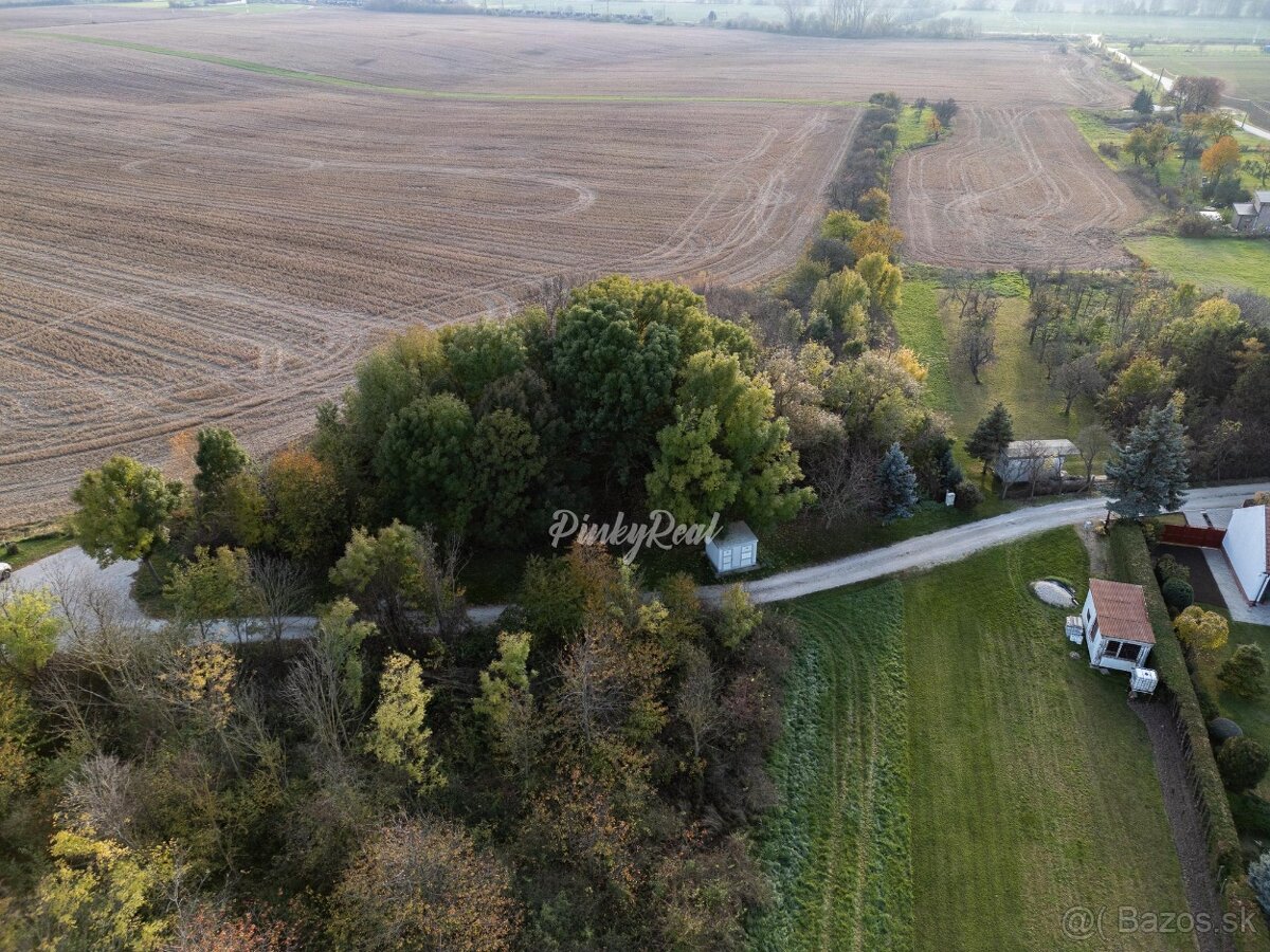 Pinky Real - Investičný pozemok v obci Boleráz - 5