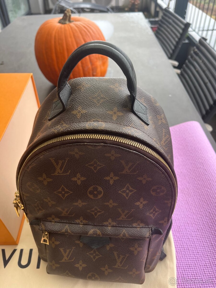 Louis Vuitton Palm Springs PM Backpack - 5
