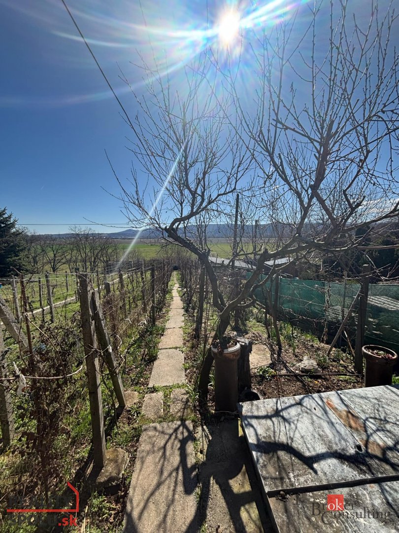 Viničná chatka na predaj - 5