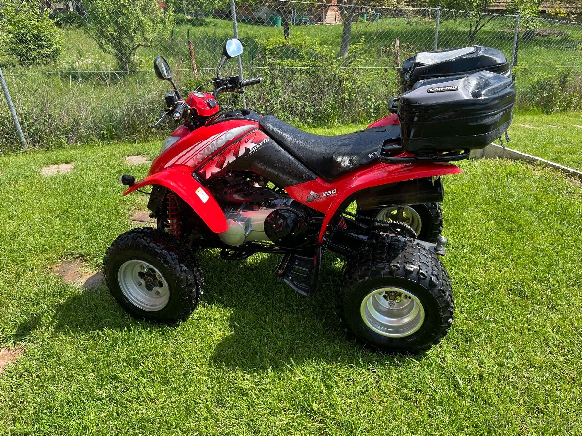 Kymco kxr 250