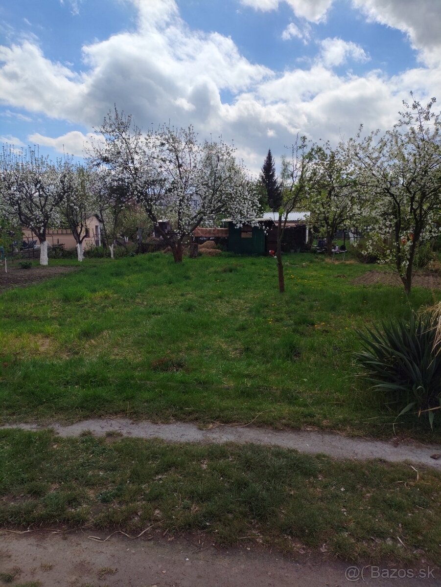 Benzinový kultivator 1,4 kW 30cm / 9cm - 5