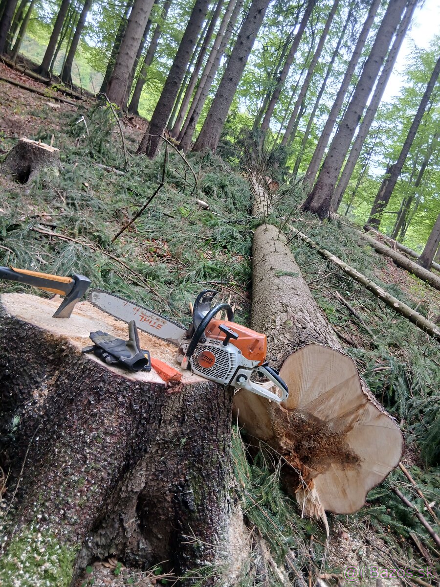 Stihl 462 - 5