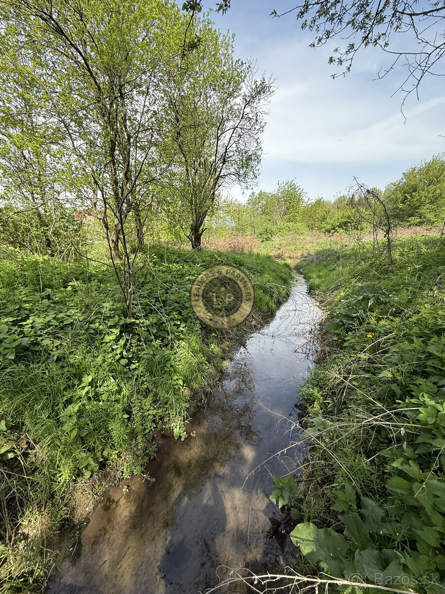 Na predaj dom v pôvodnom stave v Hornej Krupej s pozemkom 18 - 5