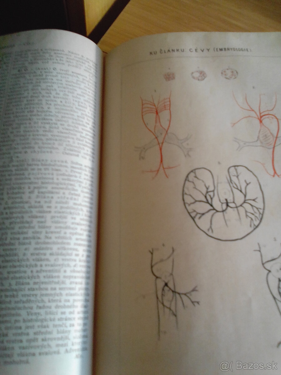 Originál Ottuv Slovník naučný - V 1892 - 5