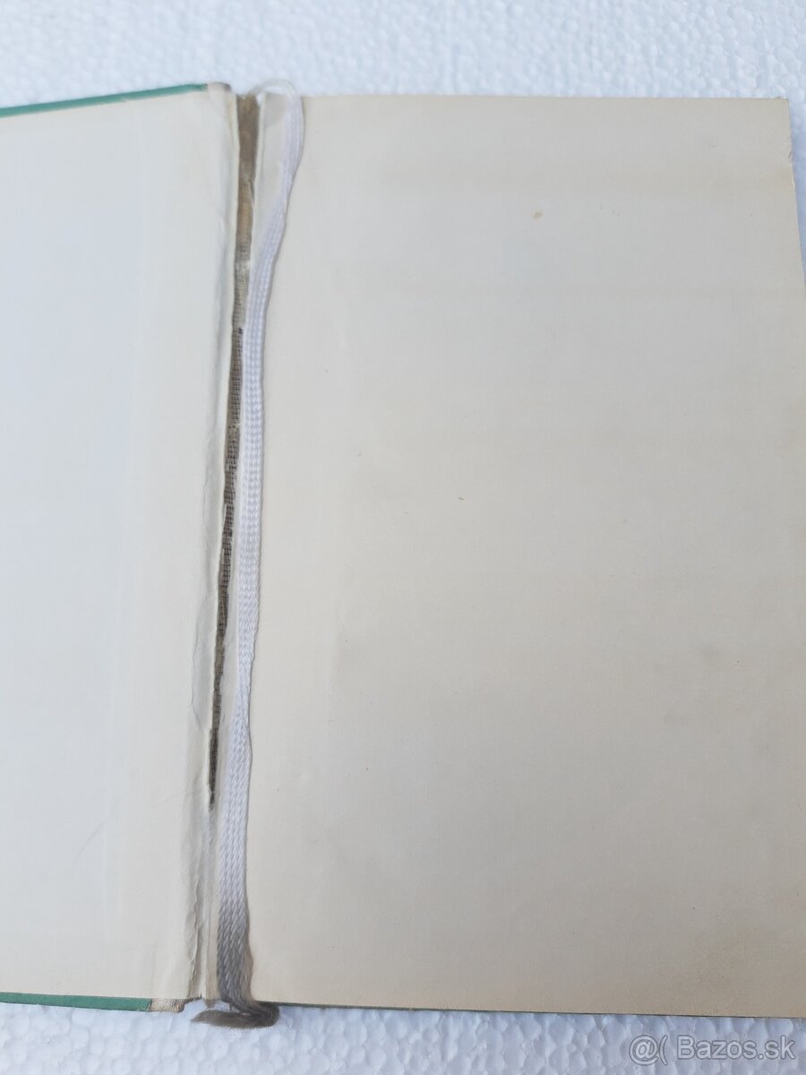 Sivá húska - Zelinová Hana - 5