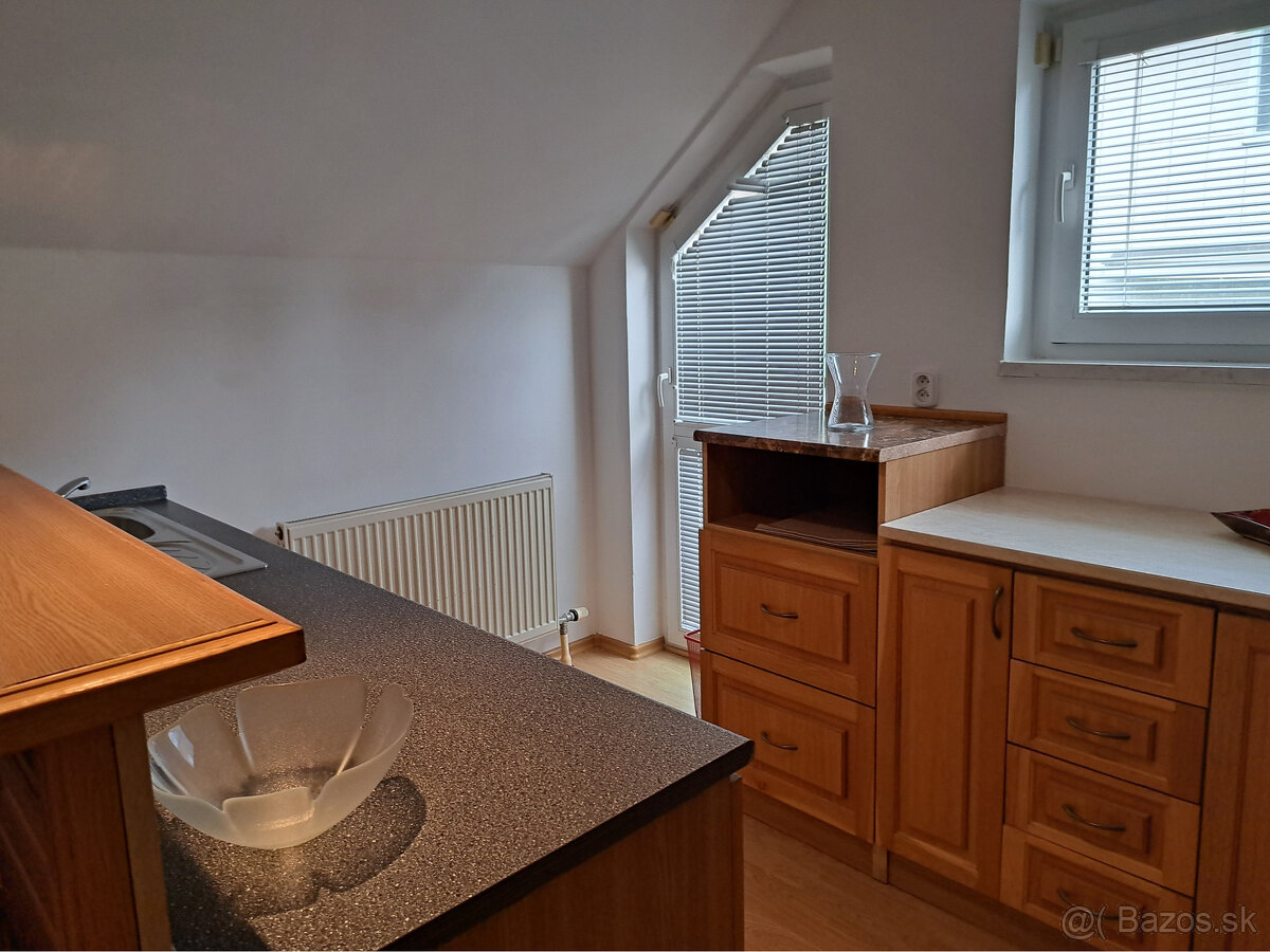 NEBYTOVÝ PRIESTOR V RD V STAROM MESTE, UL.PRI HABÁNSKOM MLYN - 5