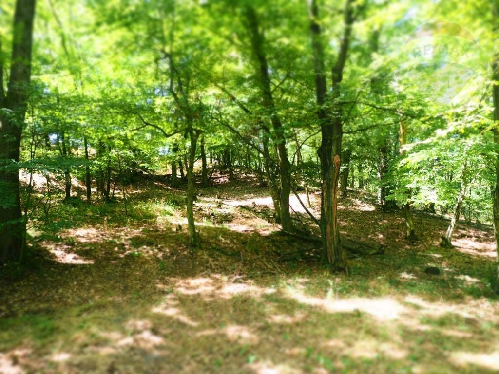 NA PREDAJ: Pozemok (rekreačný) 1000m2, ulica Stará Stupavská - 5