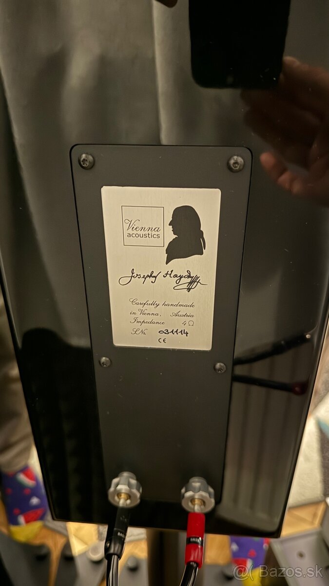 Vienna Acoustics Haydn - 5