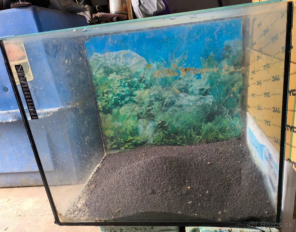 Akvarium - 5