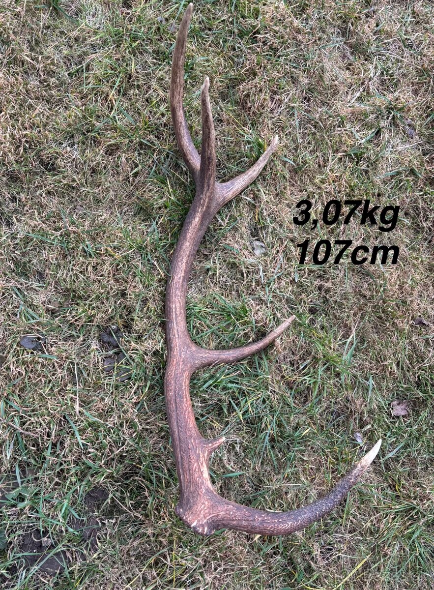 Parohy,parožie,zhody - 5