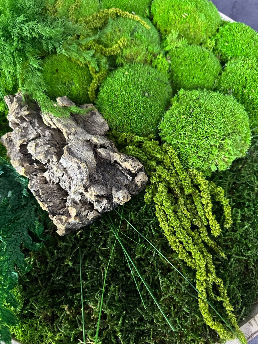 Predám nový machový obraz vhodný ako aj darček - 5