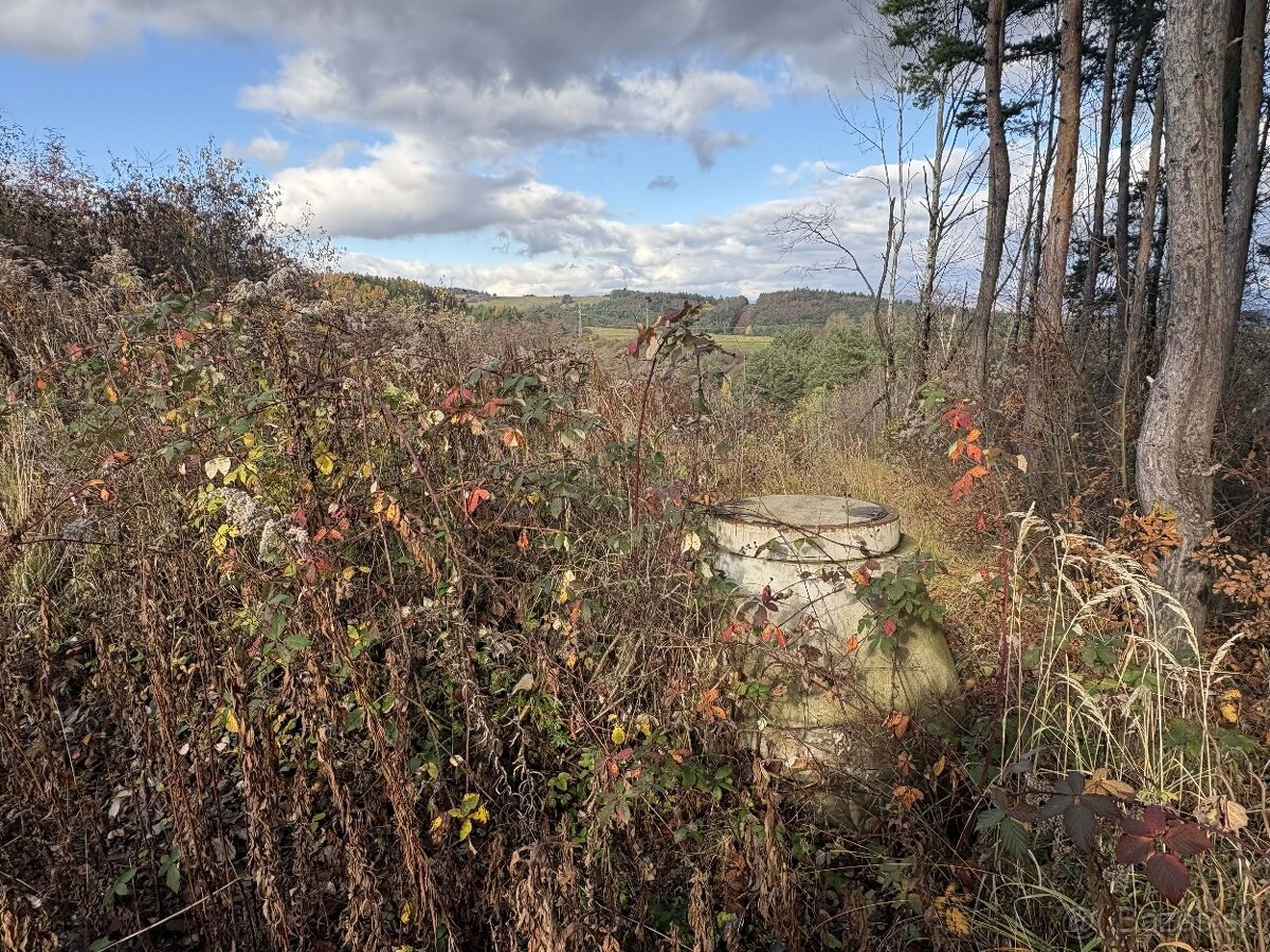 🌞 Slnečný pozemok pri lese – maximum súkromia v Badíne - 5
