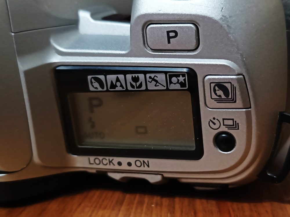 MINOLTA Dynax 500si (Minolta AF Zoom 100-300mm) - 1994 - 5