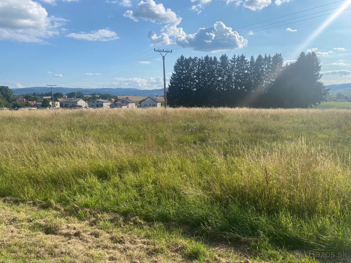 Pozemok Veľký Čepčín 6503m2 - 5