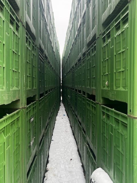 Kúpim kovové bedne MARS /120x80x60 cm - 5