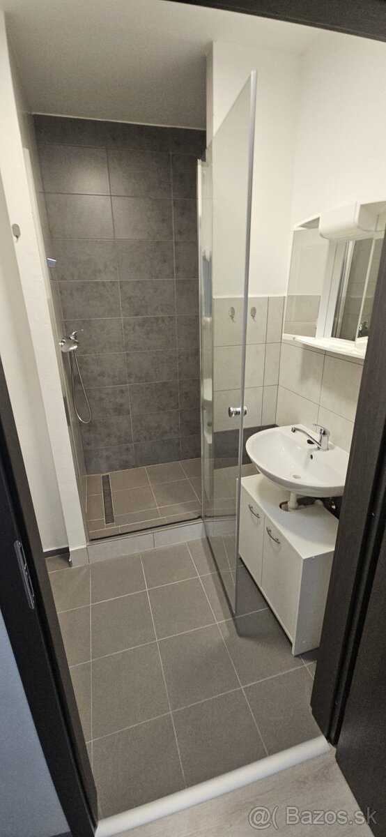 Garsonka na prenájom v Leviciach - 5