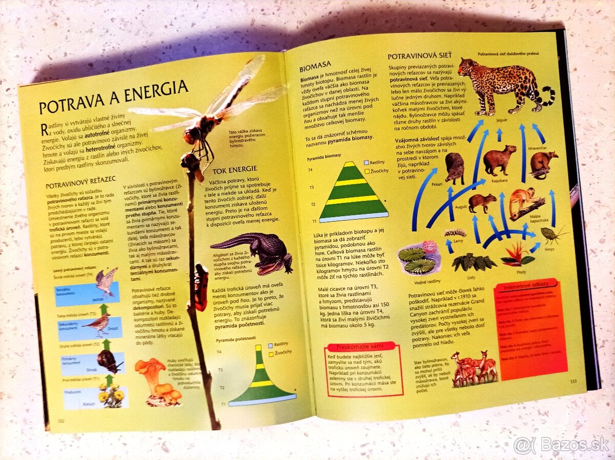 Školská encyklopédia - 5