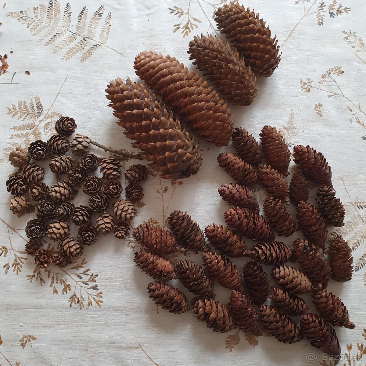 Vetvicky a sisky na adventne vence / dekoracie - 5