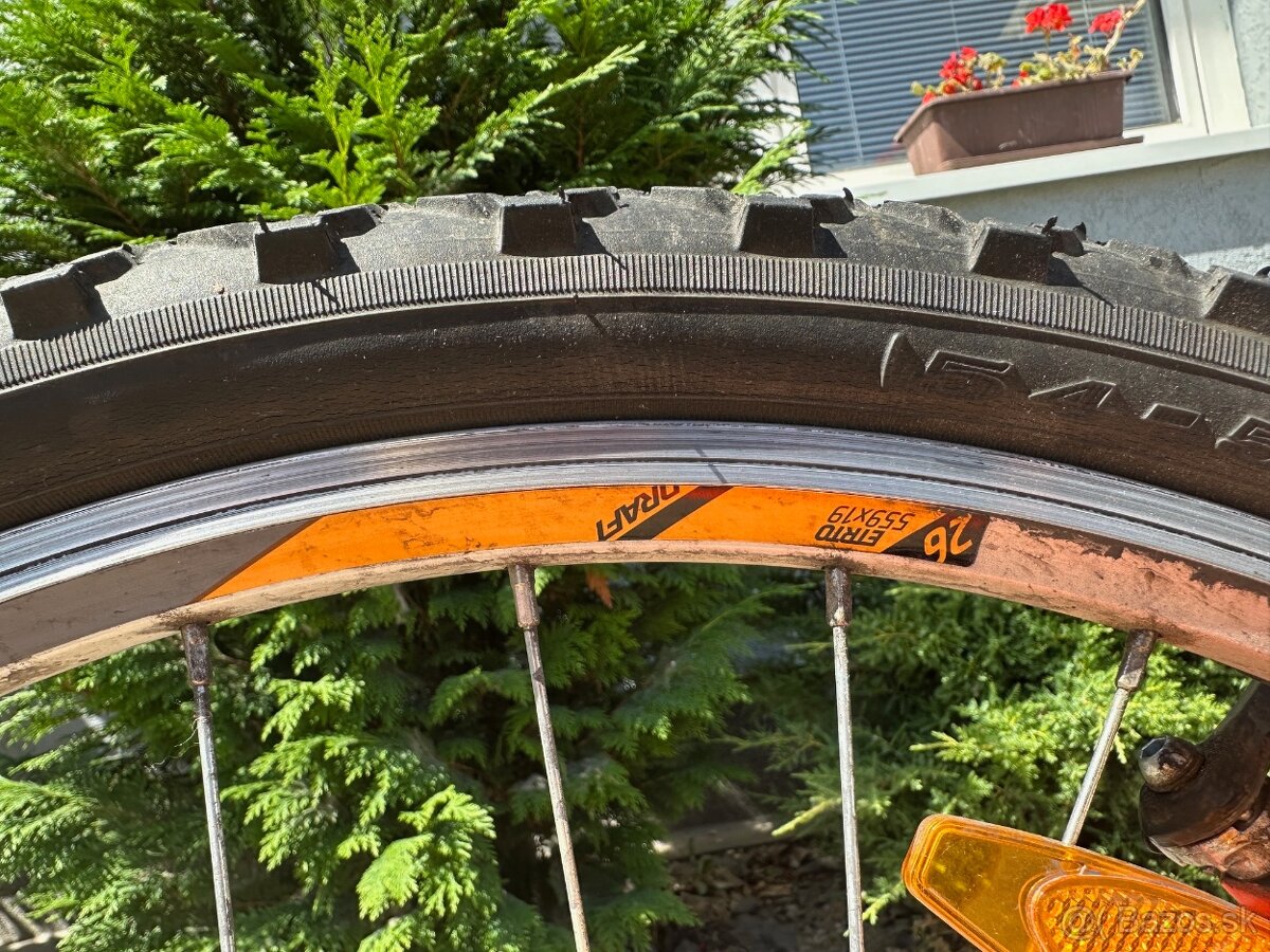 Bicykel ALPINA eco10m - 5