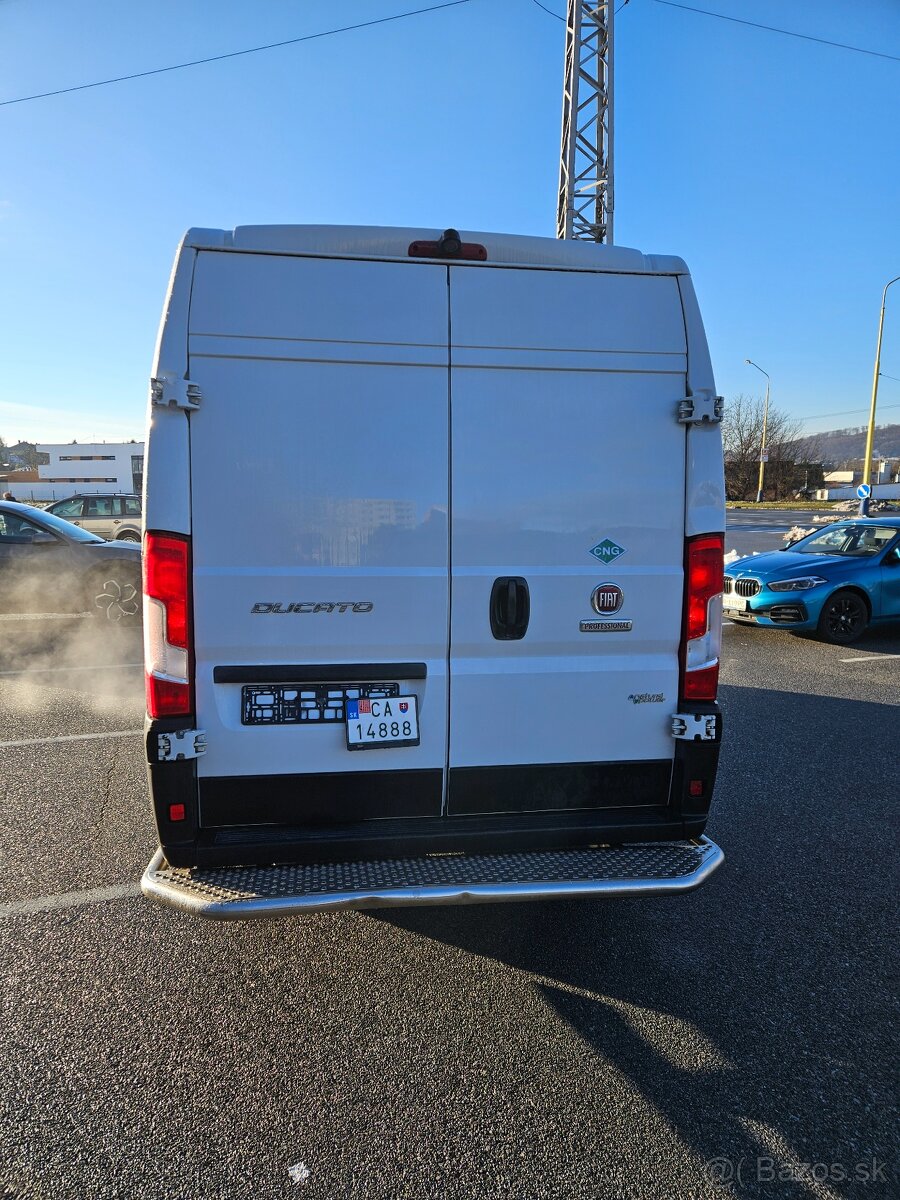 Ducato - 5