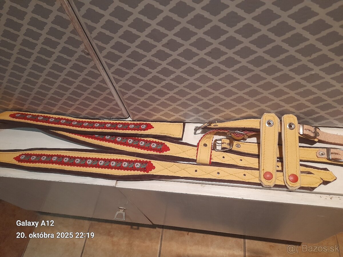 Akordeon -heligonka remene - 5