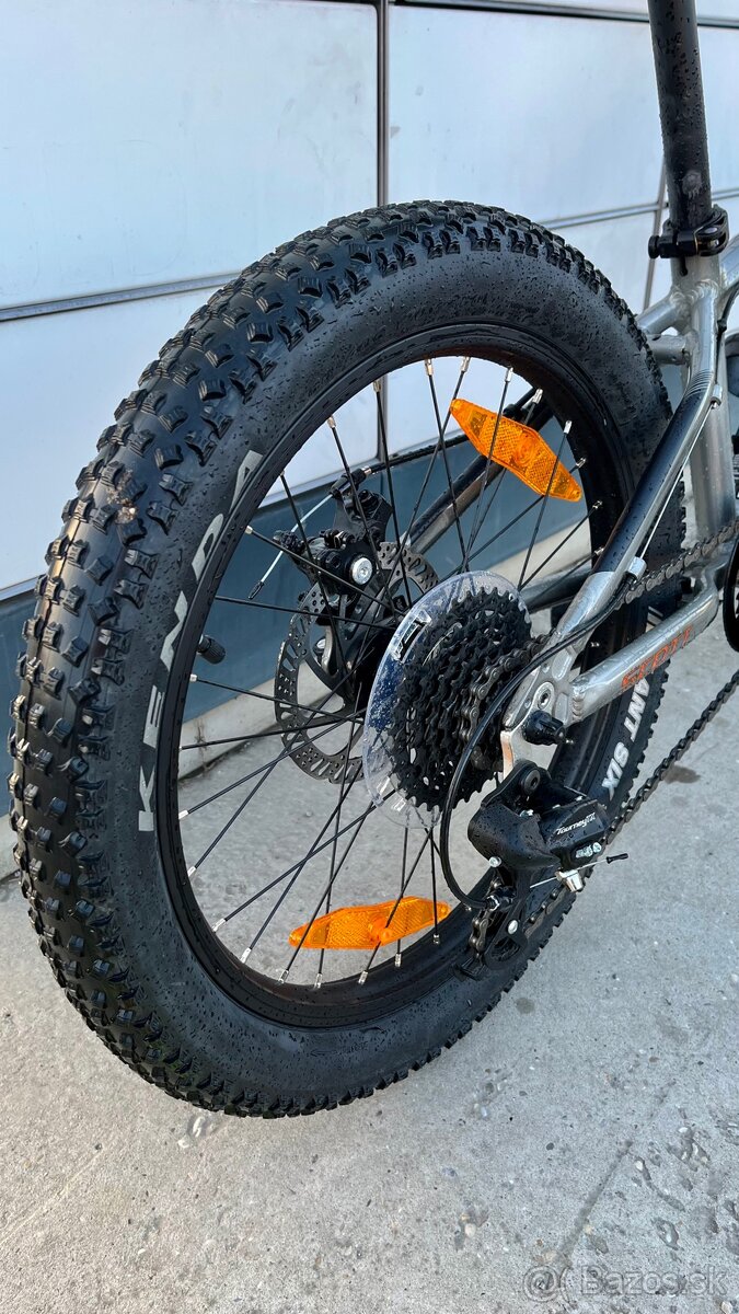 Scott Roxter 20” - 5