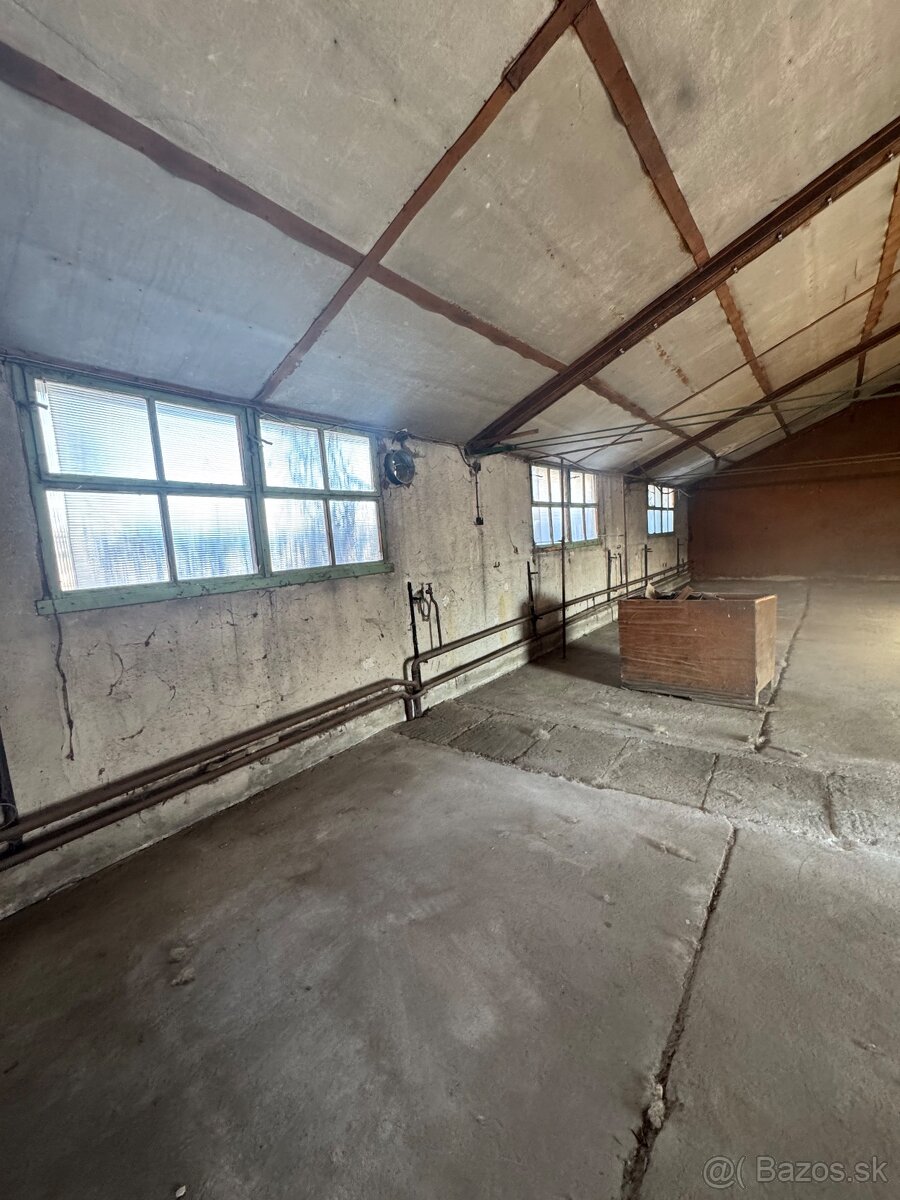 Hala/ sklad na prenájom - 5