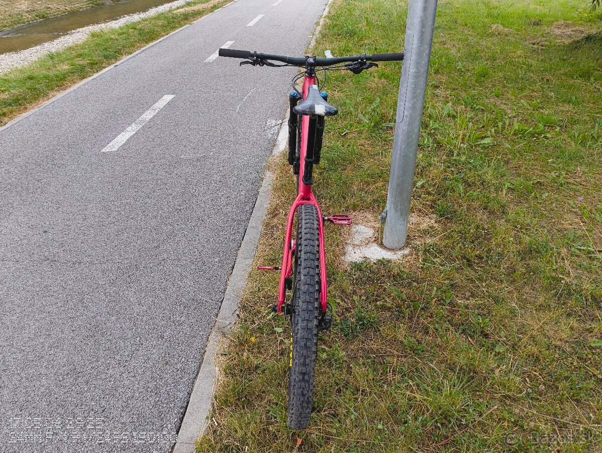 Pells Root 1 - veľ. M - 5