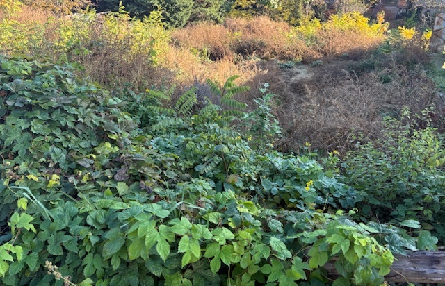 Stavebný pozemok s krásnym výhľadom Nitra, Kalvária - 5