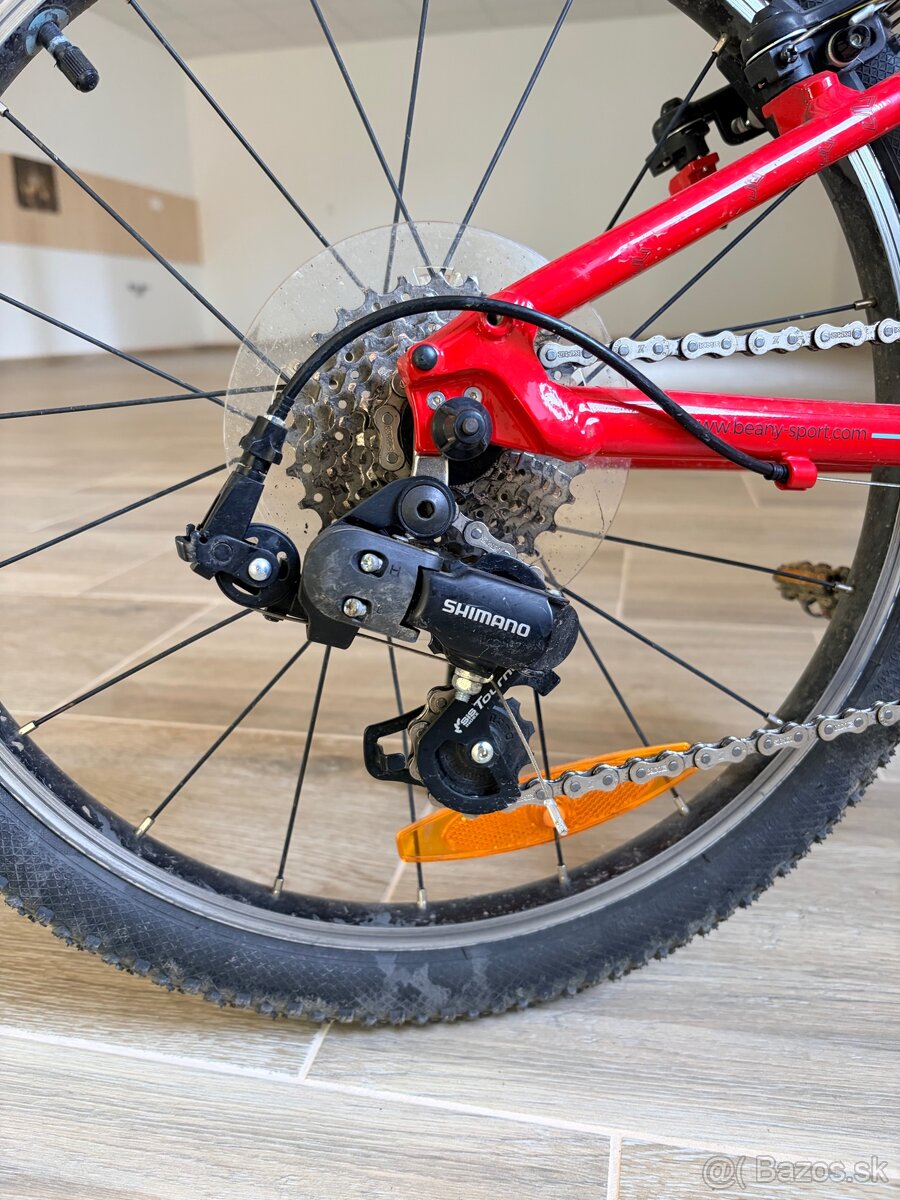 Detsky bicykel Beany 20” - 5